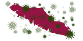 An outline of Vancouver Island in dark red with lots of green COVID molecules scattered over it.