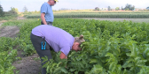 Bob and Alysha Sieffert at their farm.